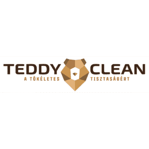 Teddy Clean logó, tökéletes tisztaságra szolgáló szolgáltatások.