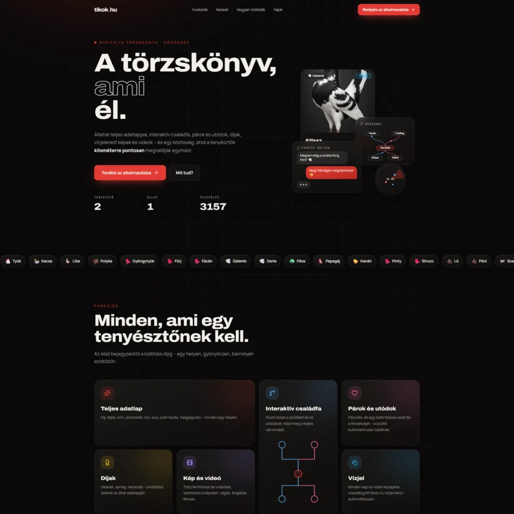 tikok.hu - Egyedi fejlesztési projekt